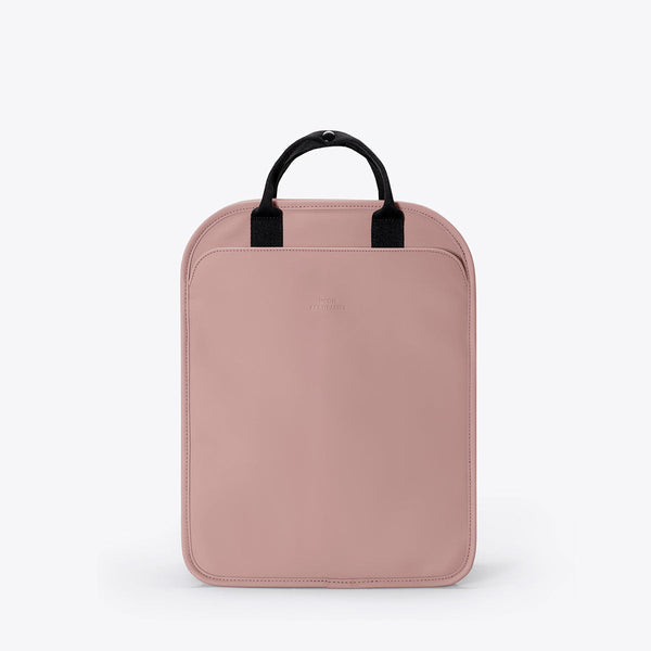 Rose / Medium